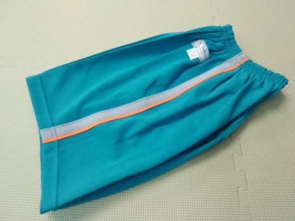  new goods G-1558 size M/ long shorts / sax blue /RED SWALLOW red swallow / gym uniform / jersey /tore bread 