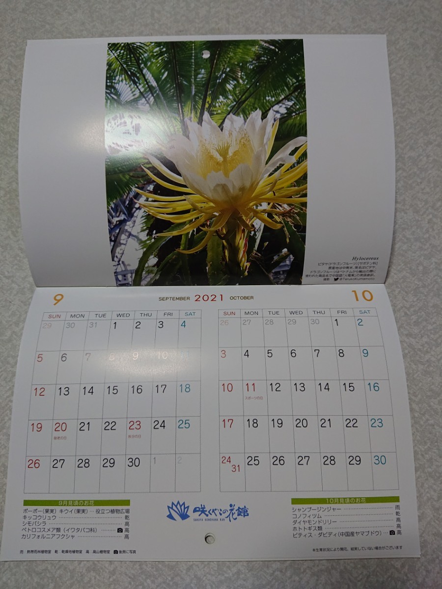 Paypayフリマ 新品 壁掛け カレンダー 21 植物 咲くやこの花館 Paypayフリマ 新品 壁掛け カレンダー 21 植物 咲くやこの花館