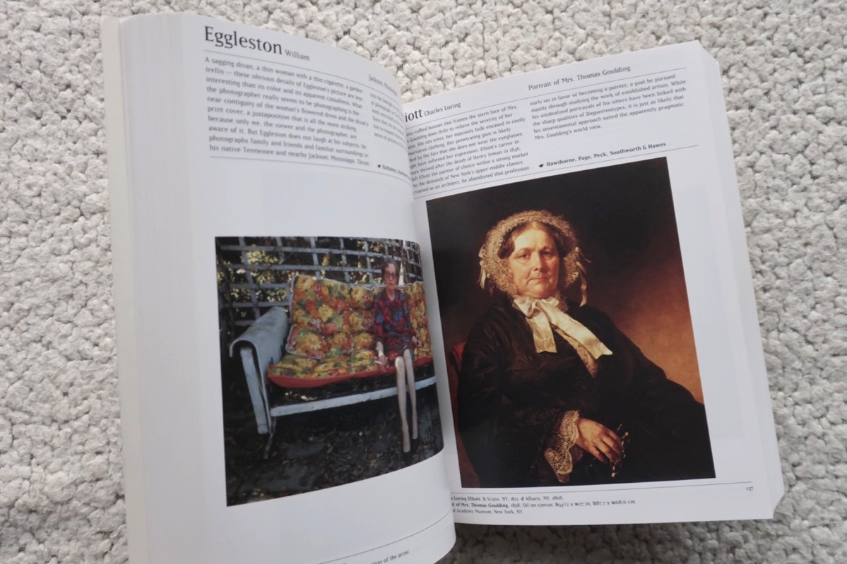 The American Art Book (Phaidon) 洋書_画像9