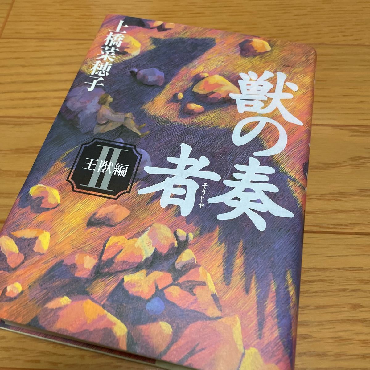 Paypayフリマ 獣の奏者 2 王獣編 講談社 上橋菜穂子 単行本 Paypayフリマ 獣の奏者 2 王獣編 講談社 上橋菜穂子 単行本