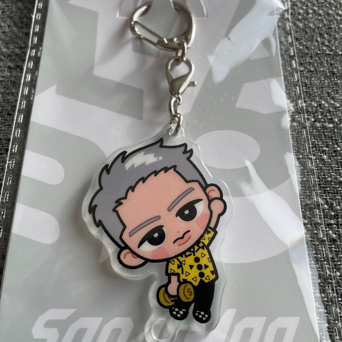 SnowMan 岩本照 LIVE TOUR 2022 Labo すのチルぶら下がりシリーズ