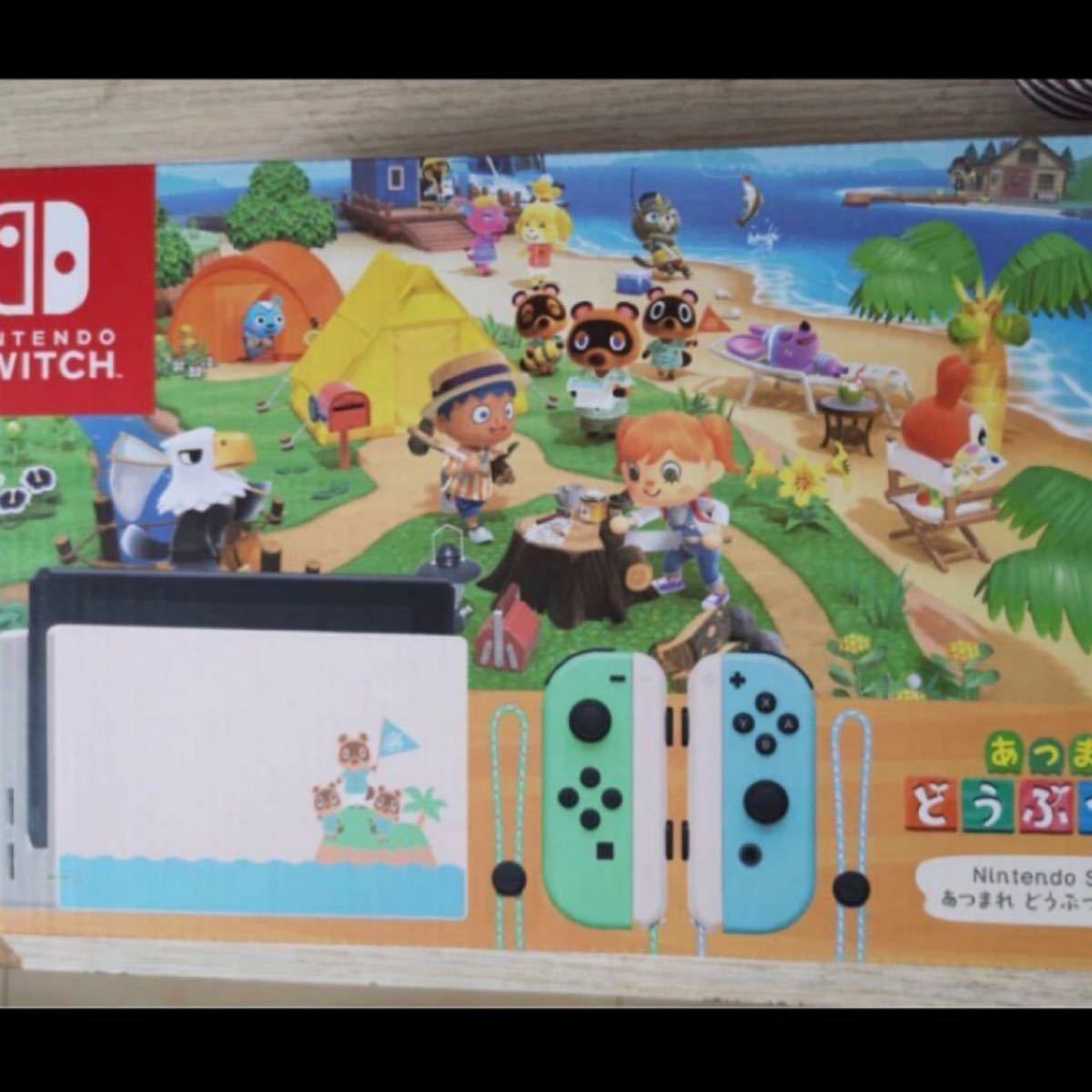 Nintendo Switch ニンテンドースイッチ　動物の森　即発送