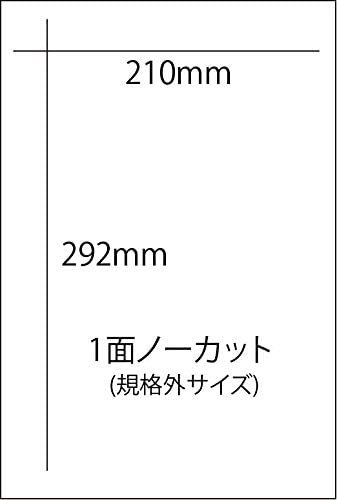 マルチラベル用紙 1面（表面ノーカット、裏面加工なし） 規格外サイズ (210mmx292mm) (1冊100枚)ｘ10　1000枚_画像1