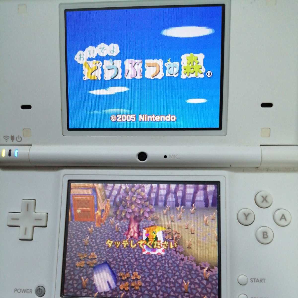 データあり　おいでよどうぶつの森 DS DSナナリスト　赤_画像6