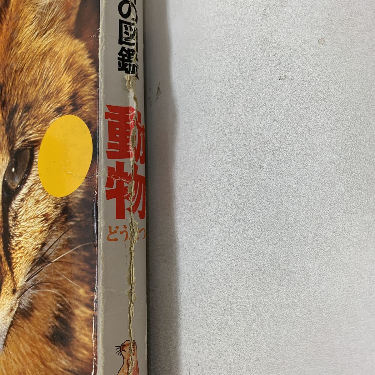 学研の図鑑 動物 どうぶつ 新訂版 1991年 学研 今泉吉典 小原秀雄 女子栄養大学 色々な動物 動物の暮らし 動物の生体 動物種類 z067_画像2