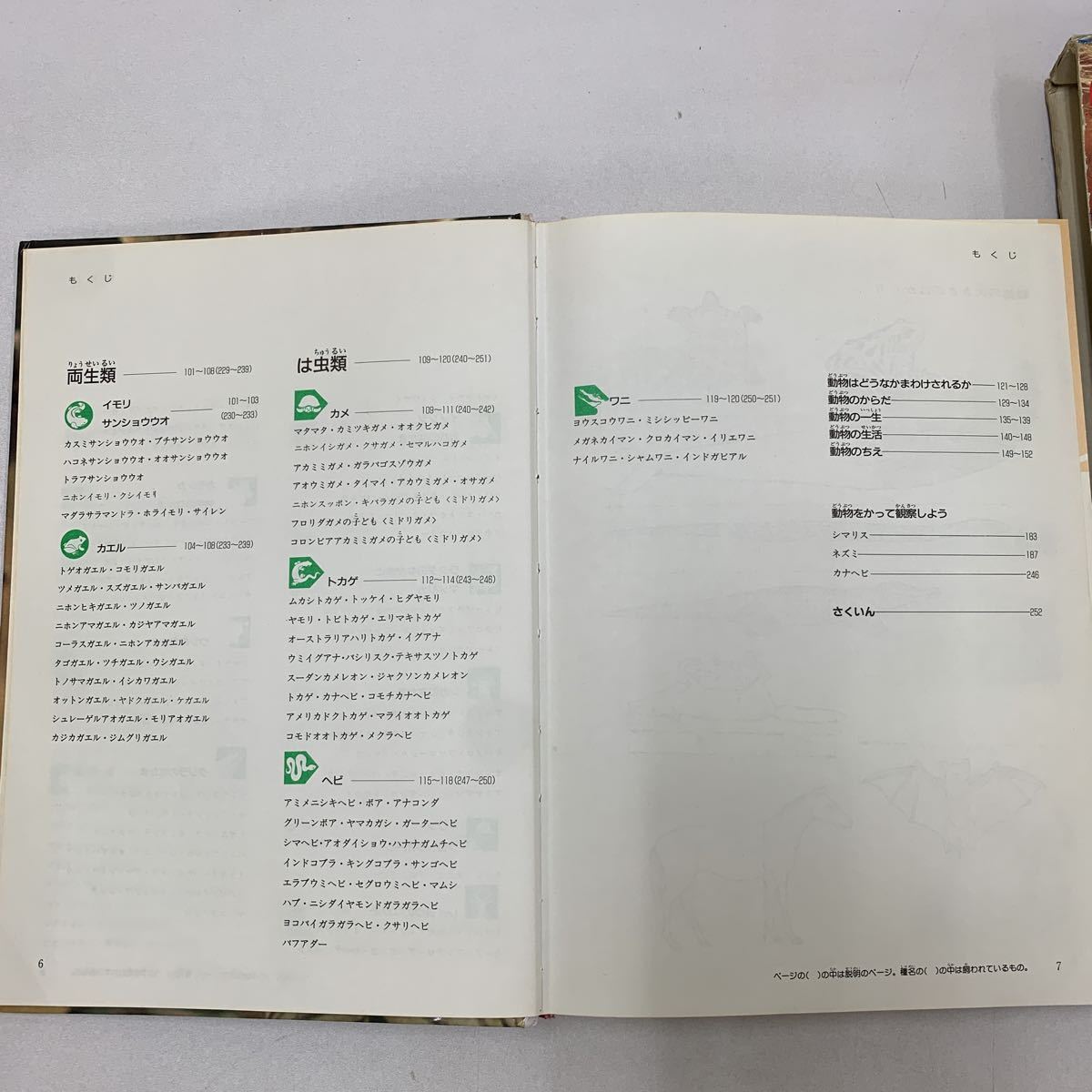 学研の図鑑 動物 どうぶつ 新訂版 1991年 学研 今泉吉典 小原秀雄 女子栄養大学 色々な動物 動物の暮らし 動物の生体 動物種類 z067_画像6