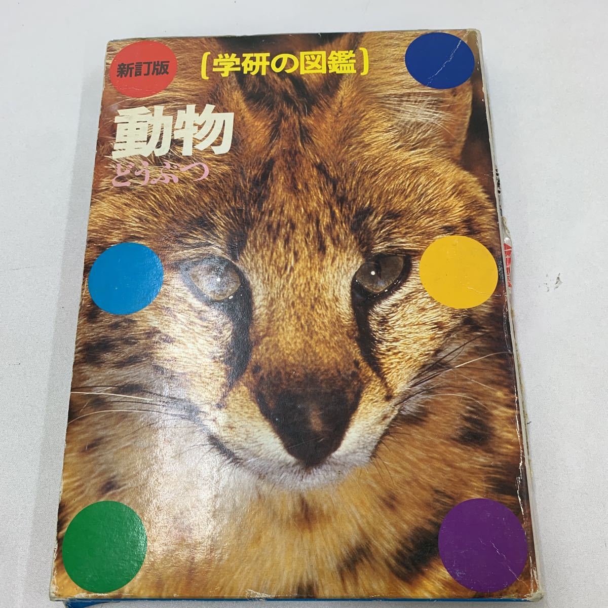 学研の図鑑 動物 どうぶつ 新訂版 1991年 学研 今泉吉典 小原秀雄 女子栄養大学 色々な動物 動物の暮らし 動物の生体 動物種類 z067_画像1