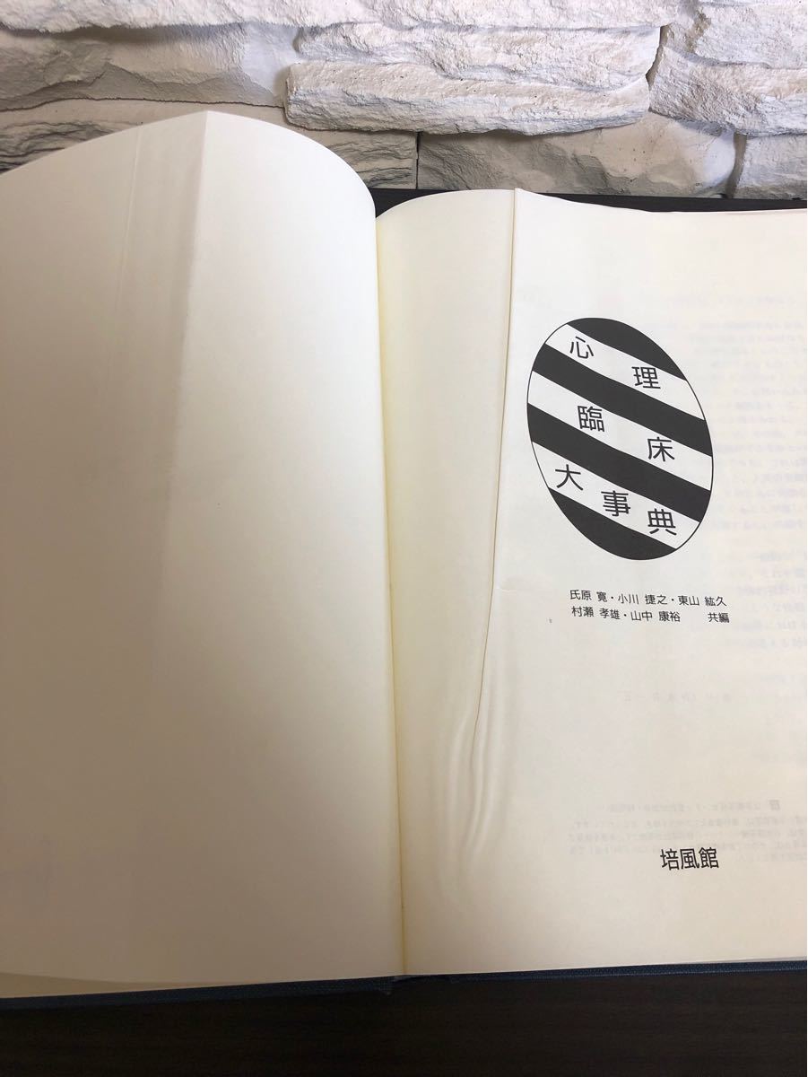 心理臨床大事典 - 参考書