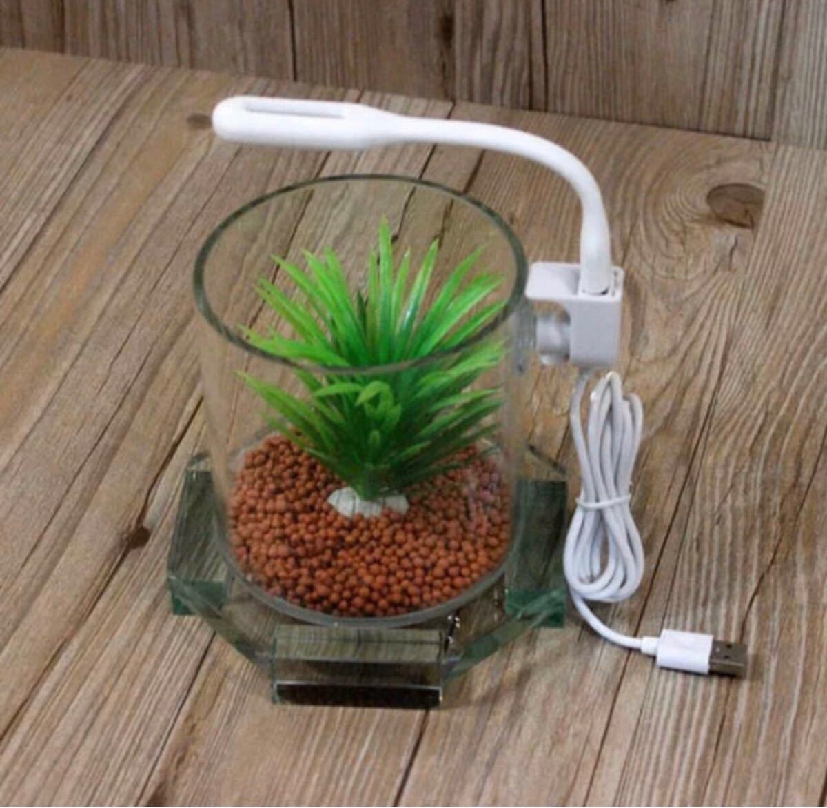 Paypayフリマ ミニ水槽 Led Usb ミニ ライトのセット Paypayフリマ ミニ水槽 Led Usb ミニ ライトのセット
