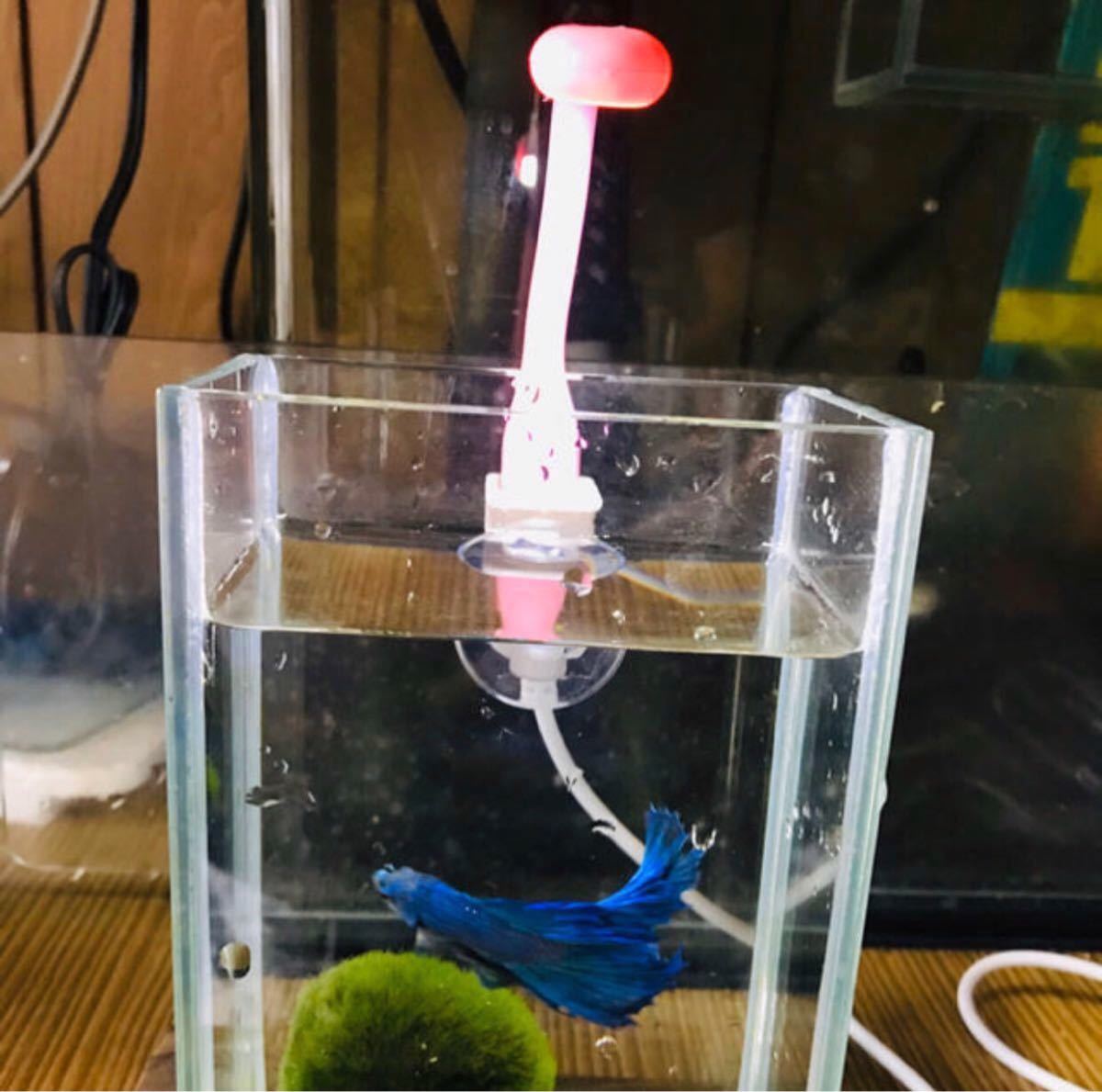 Paypayフリマ ミニ水槽 Led Usb ミニ ライトのセット Paypayフリマ ミニ水槽 Led Usb ミニ ライトのセット