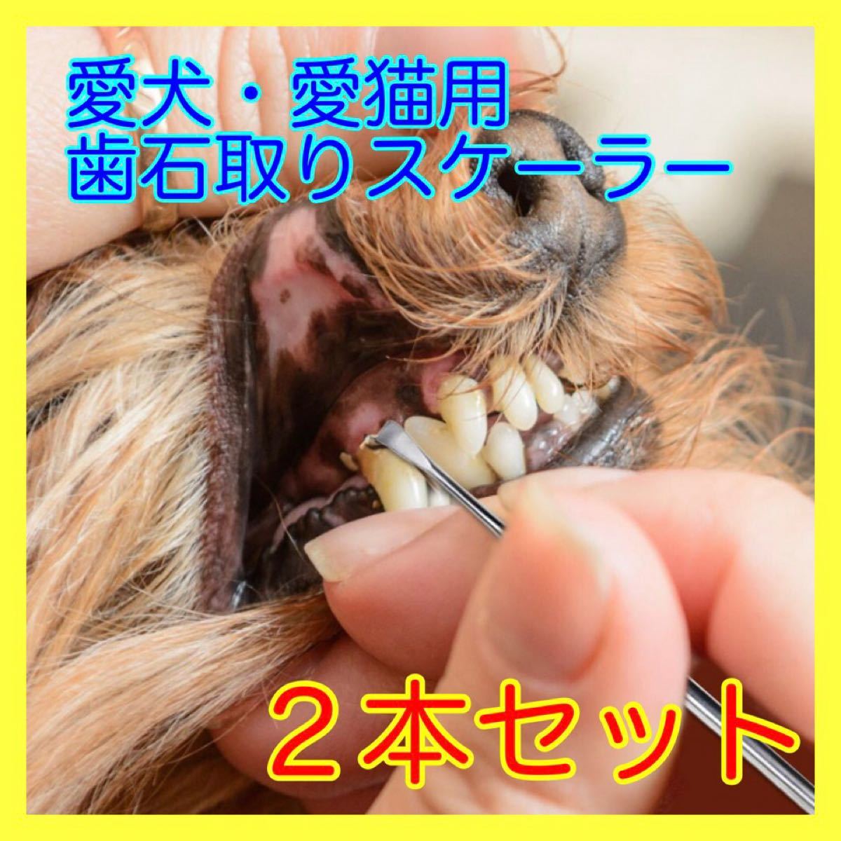 ペット用スケーラー 歯石取り 歯磨き 口腔ケア 2本セット 犬猫用 だいそら