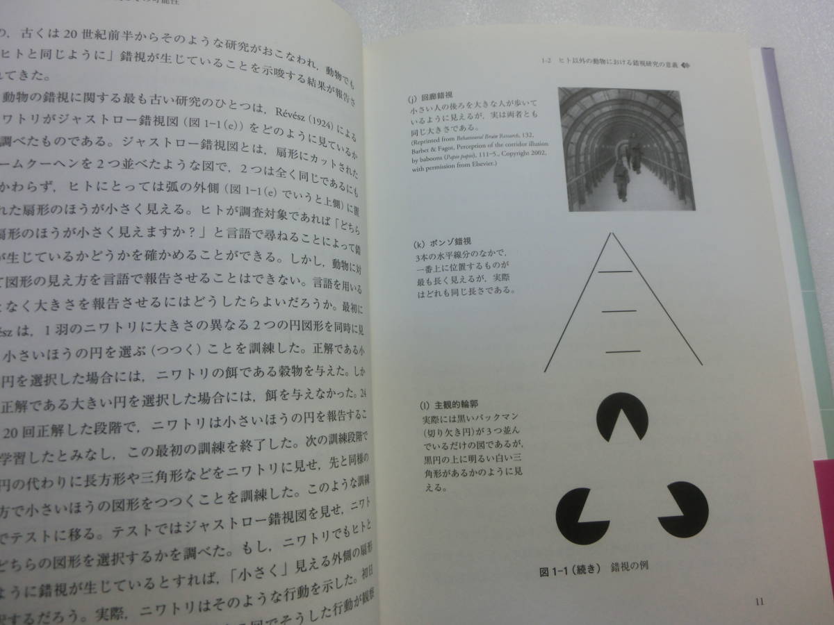 動物の錯視 トリの眼から考える認知の進化 / 中村哲之 / 錯視研究の意義とその可能性 / ハトのミュラー・リヤー錯視_黒いのは撮影時の影です