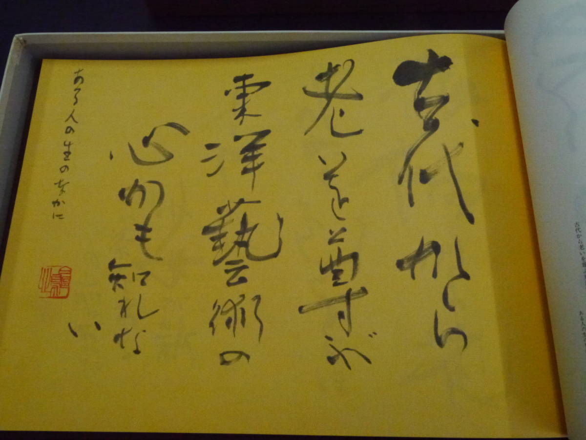 新品限定品 ヤフオク! - P2111H5 川端文学燦文集 金子鴎亭 在庫安い