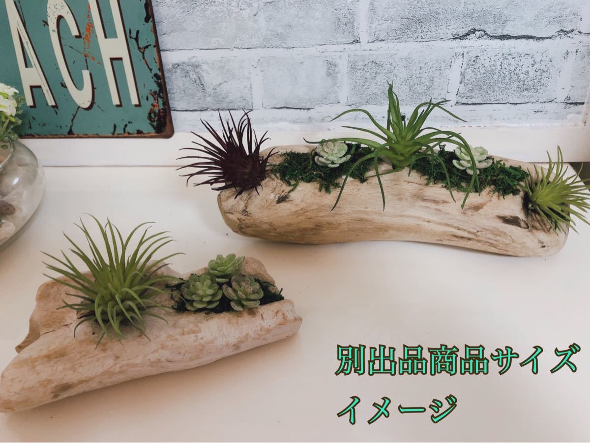 Paypayフリマ ハンドメイド 流木インテリア 流木オブジェ エアプランツ 丸太流木 Paypayフリマ ハンドメイド 流木インテリア 流木オブジェ エアプランツ 丸太流木