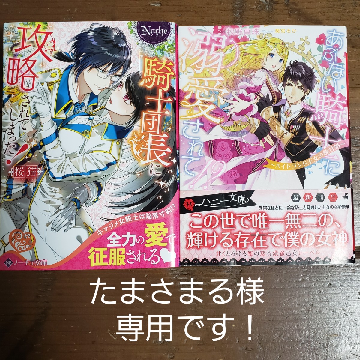 たまさまる様専用です！「騎士団長に攻略されてしまった！」他