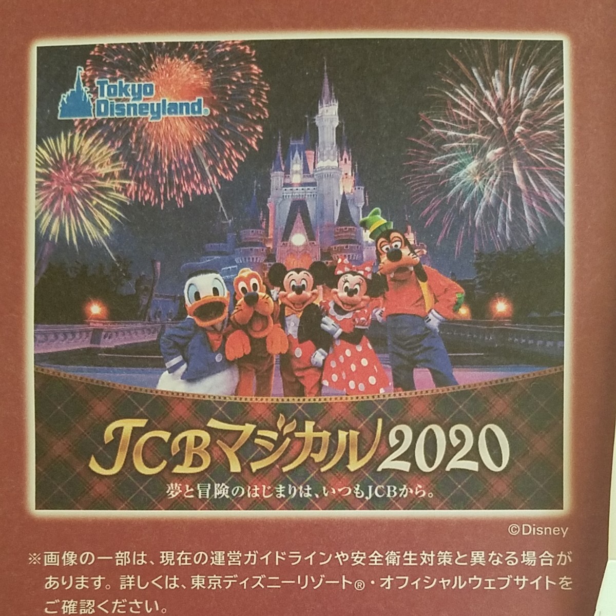 Paypayフリマ 東京ディズニーランド貸切招待券４枚