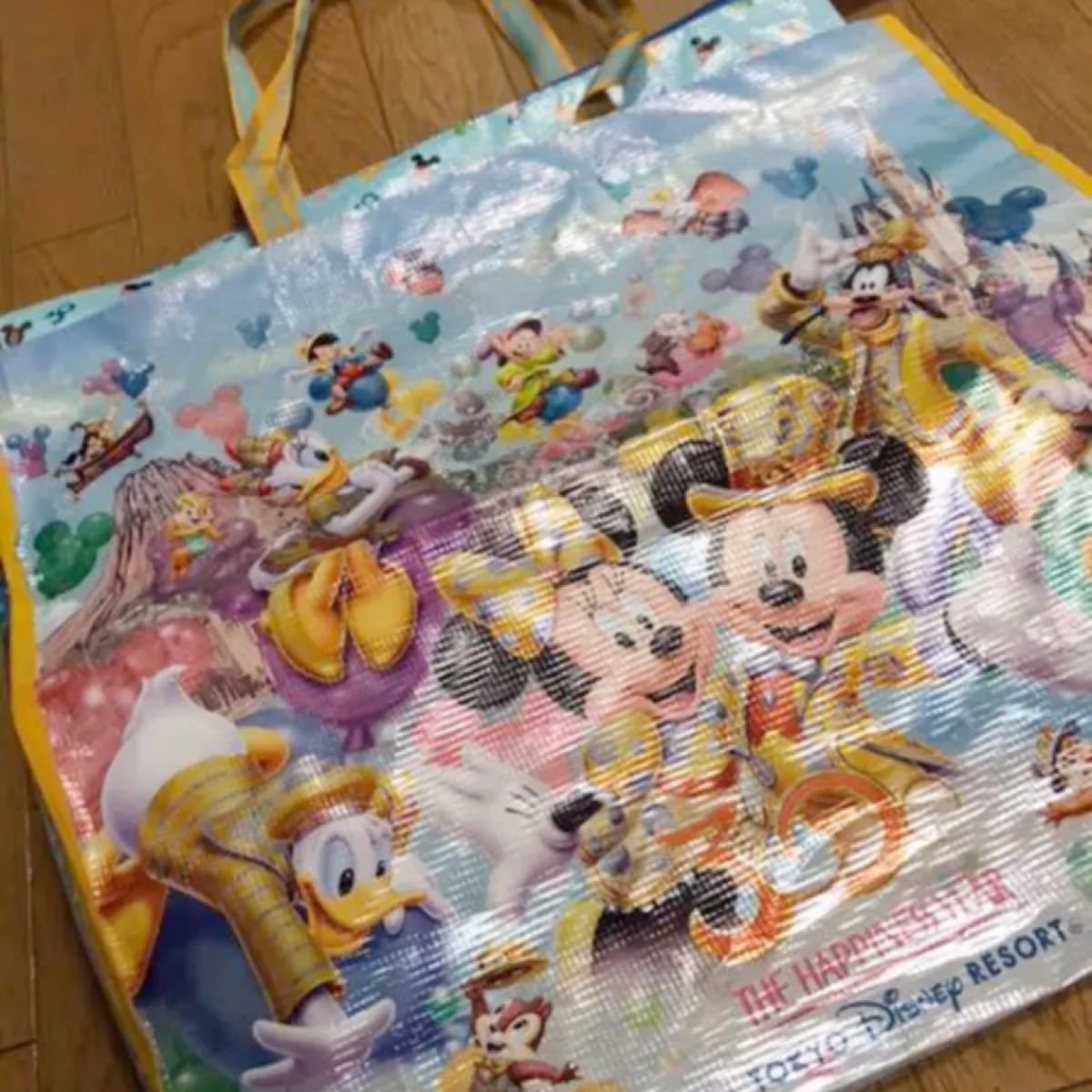 ディズニー 限定 ショッピングバッグ ショッパー 30周年 美品 正規品 公式