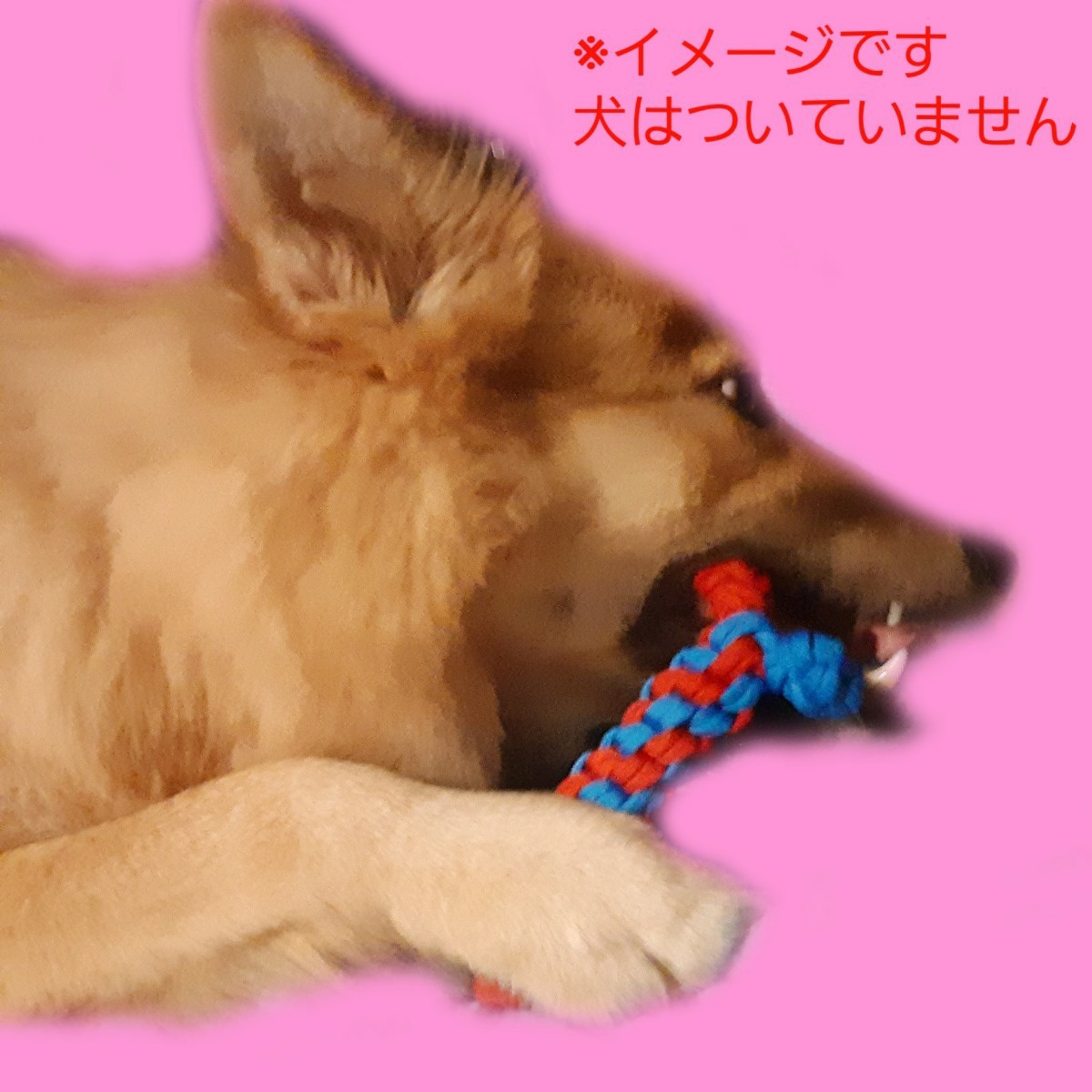 【ペット用品】犬のおもちゃ　ほねほねセット
