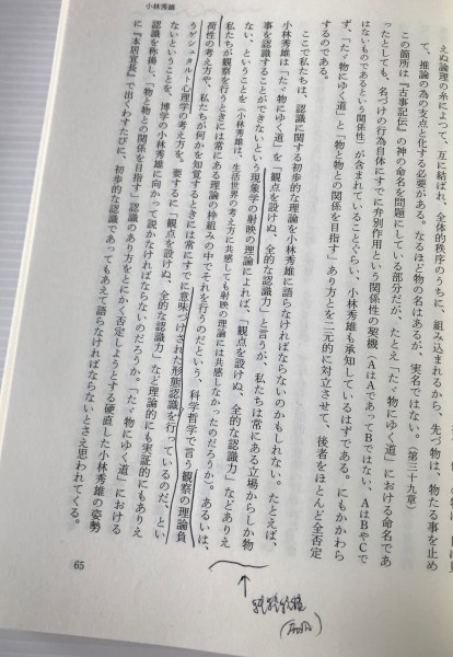 脱=文学研究 : ポストモダニズム批評に抗して 綾目広治 著 日本図書センター_画像5