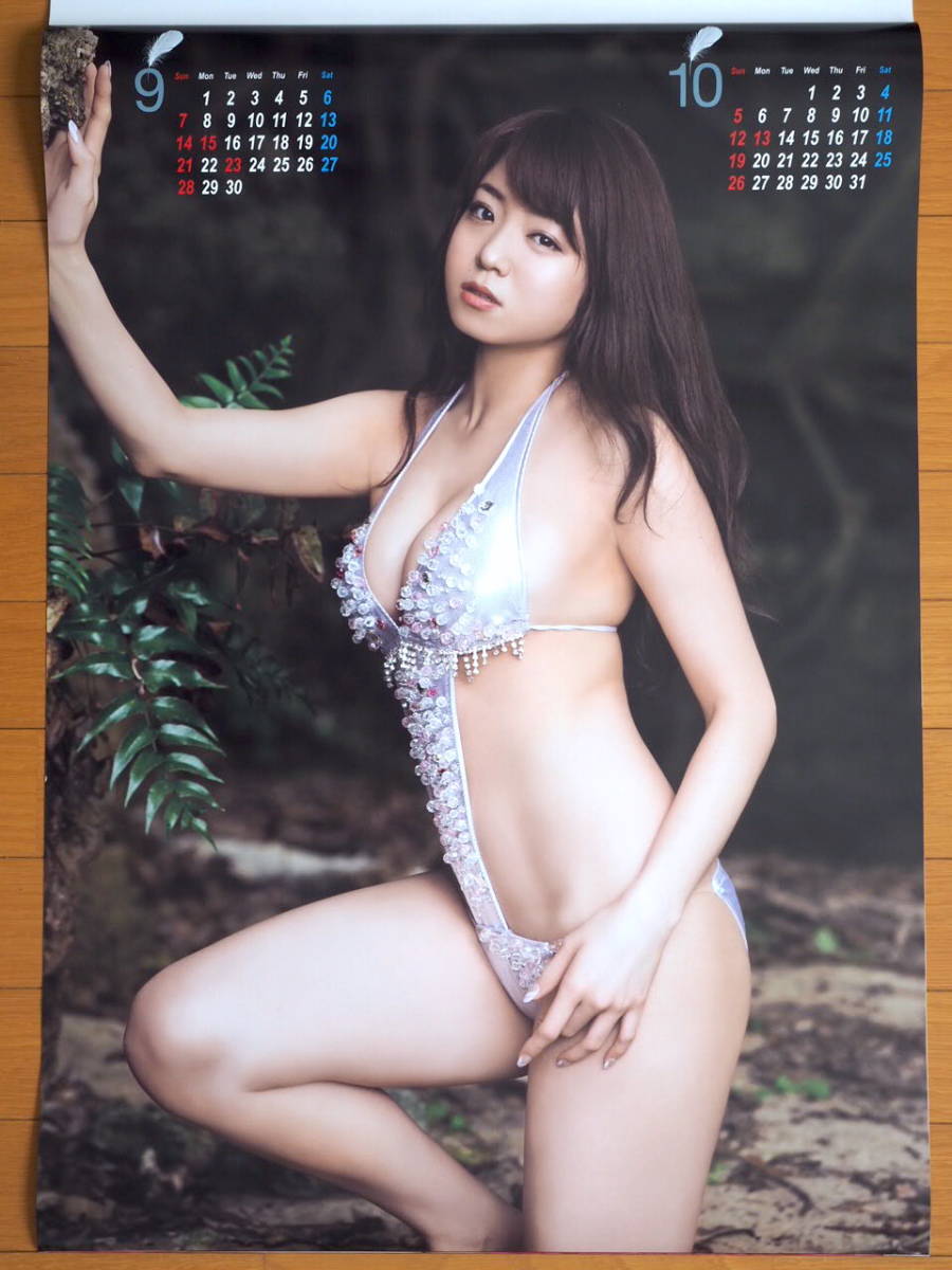2014 год Nakamura тихий . календарь не использовался хранение товар 