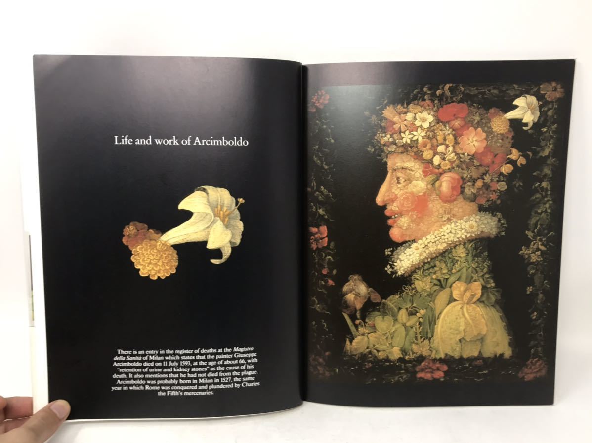 画集 ジュゼッペ・アルチンボルド Giuseppe Arcimboldo Life and work of Arcimboldo Pictures Drawings 洋書 Taschen N0762_画像4