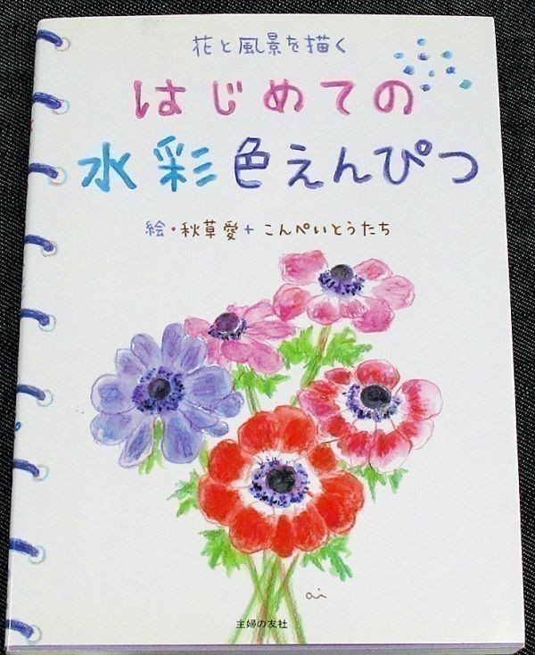 はじめての水彩色えんぴつ 花と風景を描く 色鉛筆使い方スケッチ描き方水彩画風入門初心者街絵日記初心者 代購幫