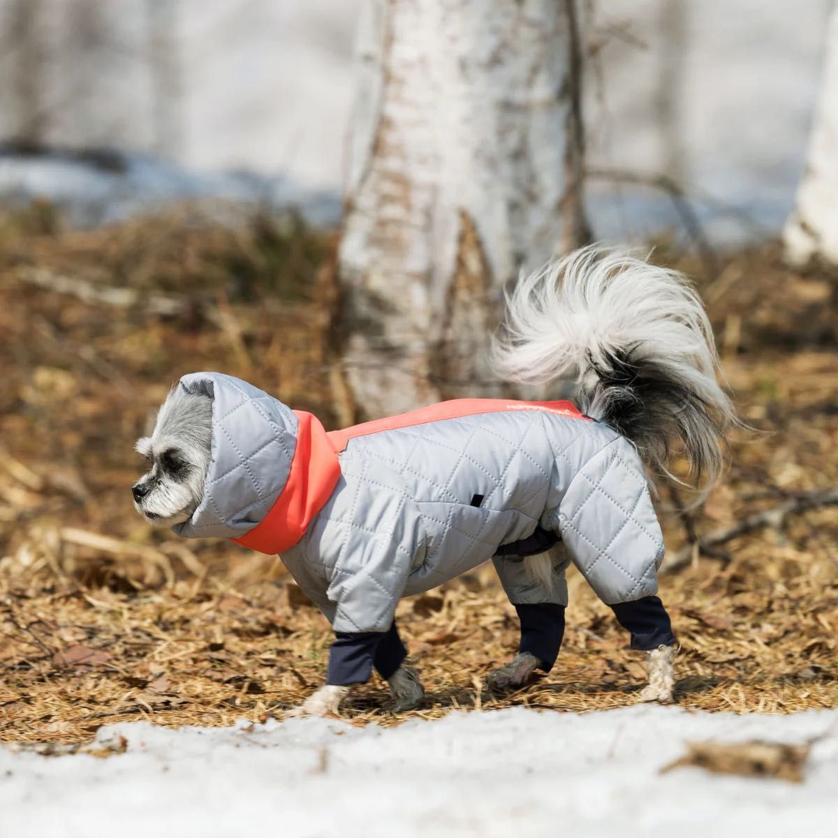 ALPHAICON DOG GUARD AIR ドッグガードエア SMサイズ FEATHER×GALAH