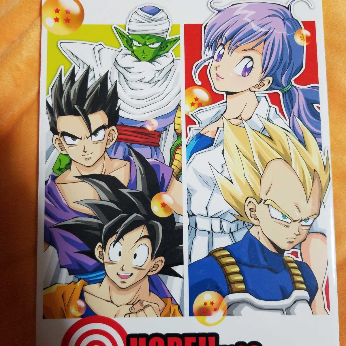 ドラゴンボール同人誌 悟飯 ピッコロ ベジータ ブルマ Hope Vol 2 Nattsu P70 Dejapan Bid And Buy Japan With 0 Commission