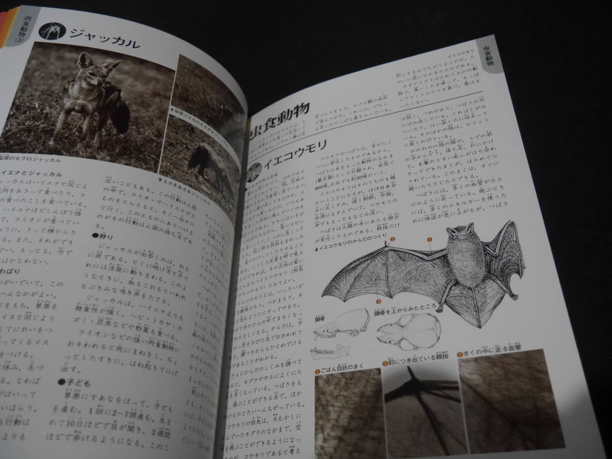 ヤフオク 学研 学研の図鑑 動物のくらし 1993年新訂版 ヤフオク 学研 学研の図鑑 動物のくらし 1993年新訂版