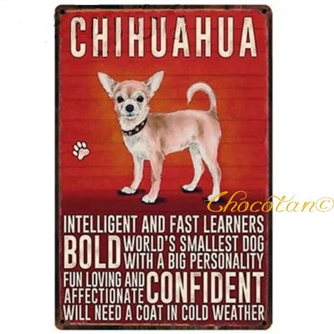 [ free shipping ] chihuahua ① dog kind metal autograph plate metal signboard [ new goods ]