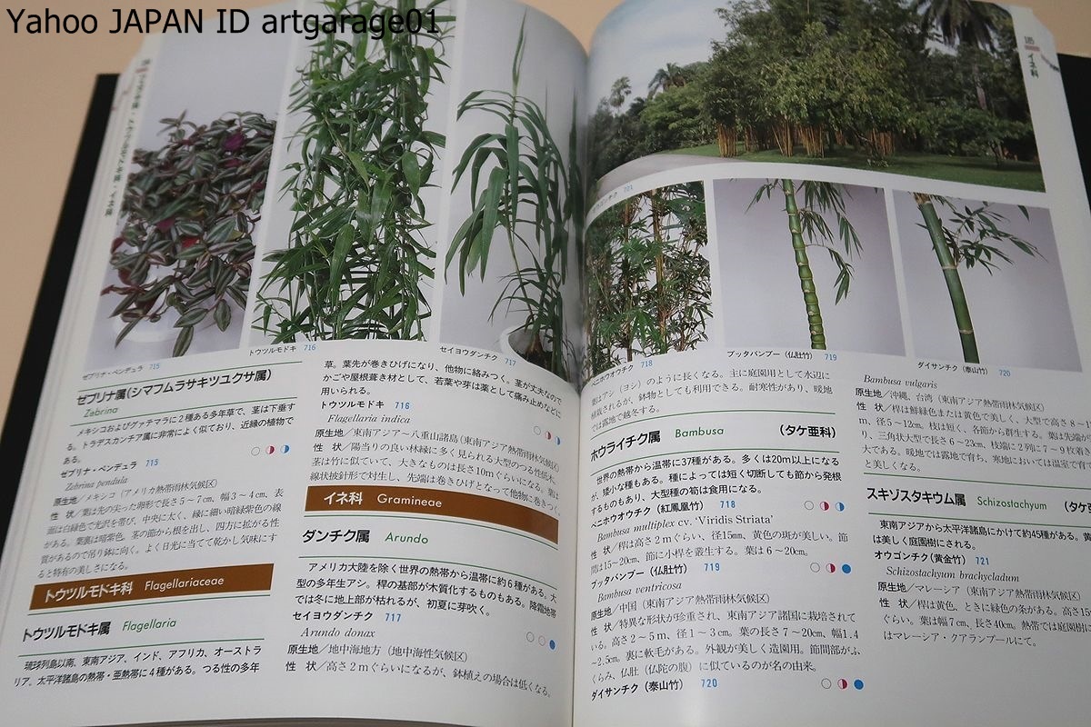 熱帯花木と観葉植物図鑑/観葉植物として市場や園芸業界で取り扱っている植物を中心に多くのものを掲載・一目で解る様に現地の写真を使用_画像9