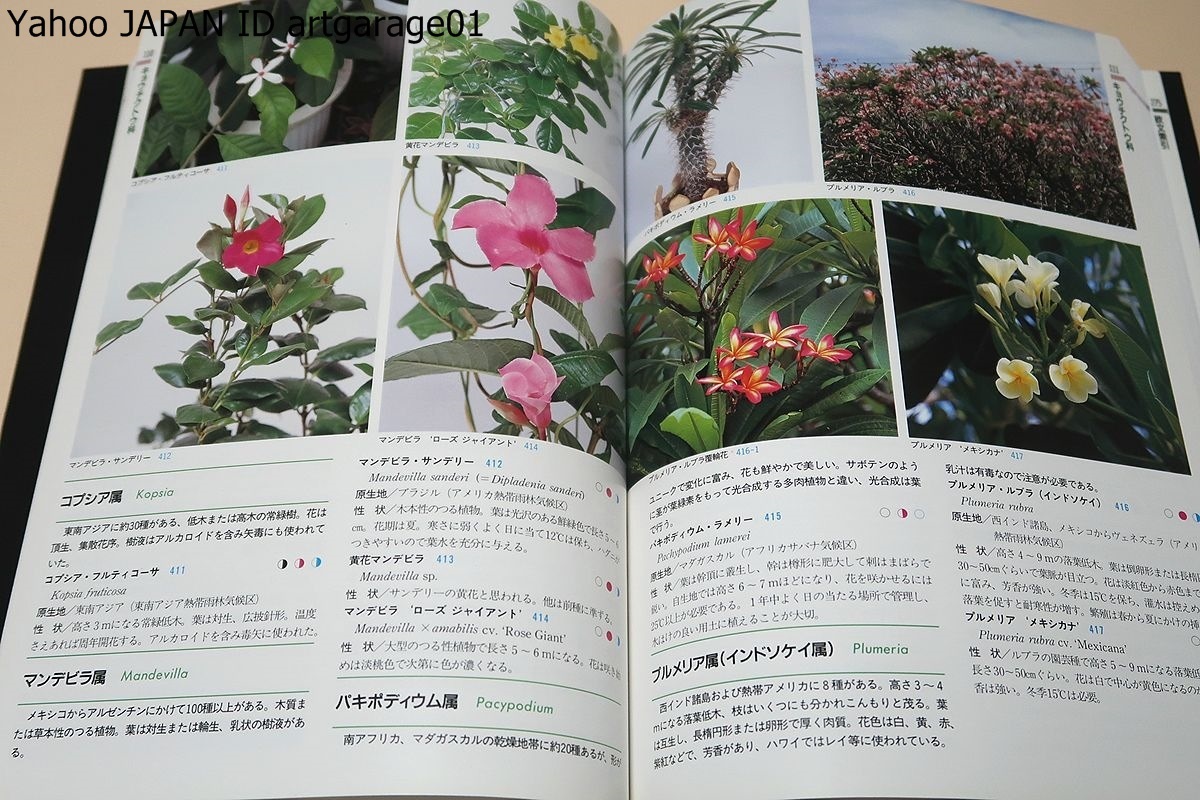 熱帯花木と観葉植物図鑑/観葉植物として市場や園芸業界で取り扱っている植物を中心に多くのものを掲載・一目で解る様に現地の写真を使用_画像8