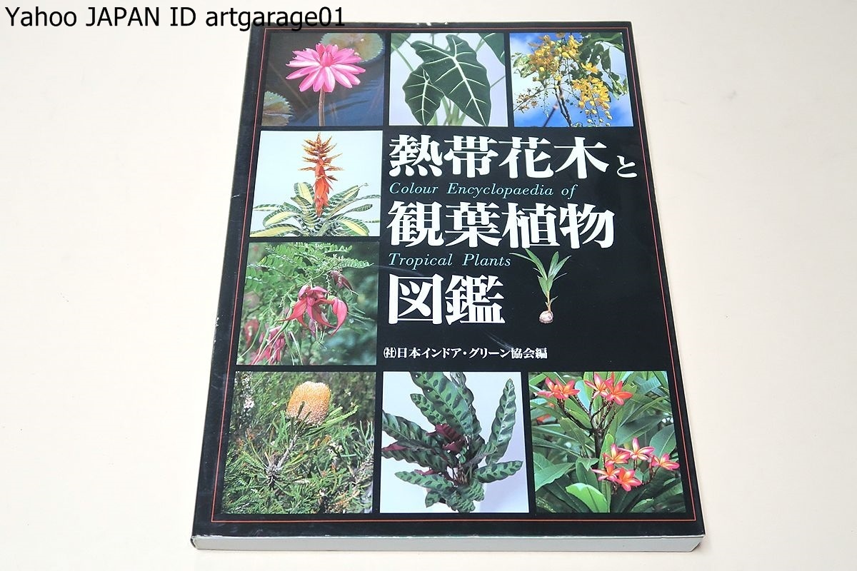 熱帯花木と観葉植物図鑑/観葉植物として市場や園芸業界で取り扱っている植物を中心に多くのものを掲載・一目で解る様に現地の写真を使用_画像1