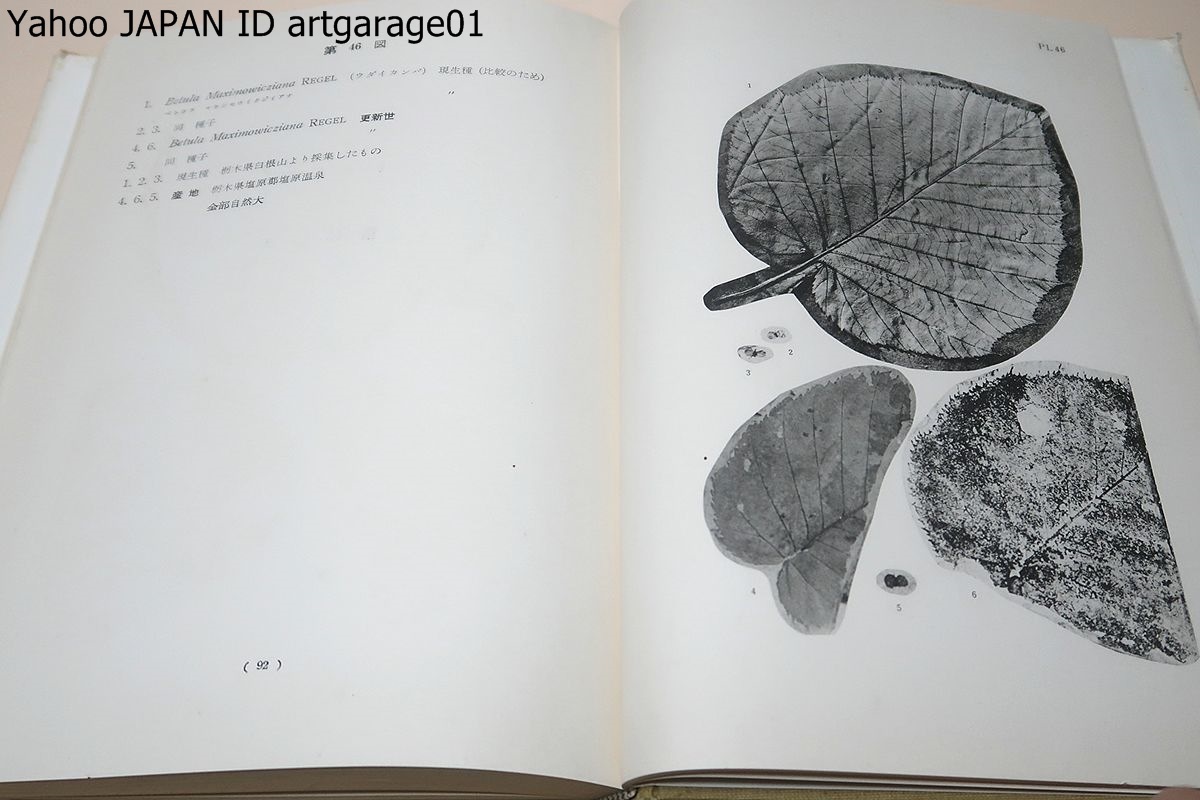  Japan production fossil plant map ./ map is presently till .. work excepting . too much publish not done raw materials . selection .. work made * Japan production fossil plant. ... one .. know ... possible 