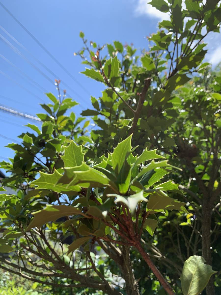 item_image_3