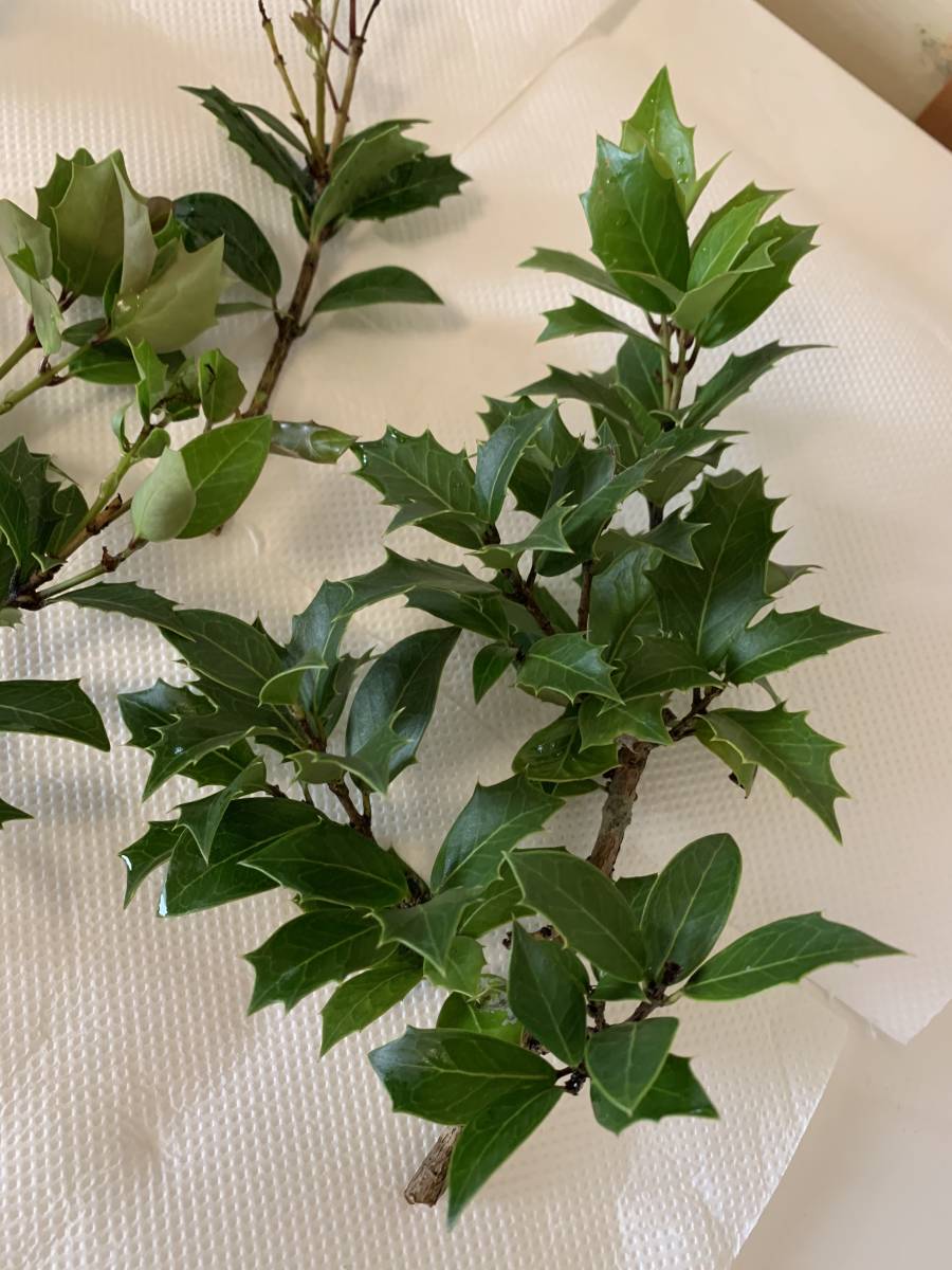 item_image_6