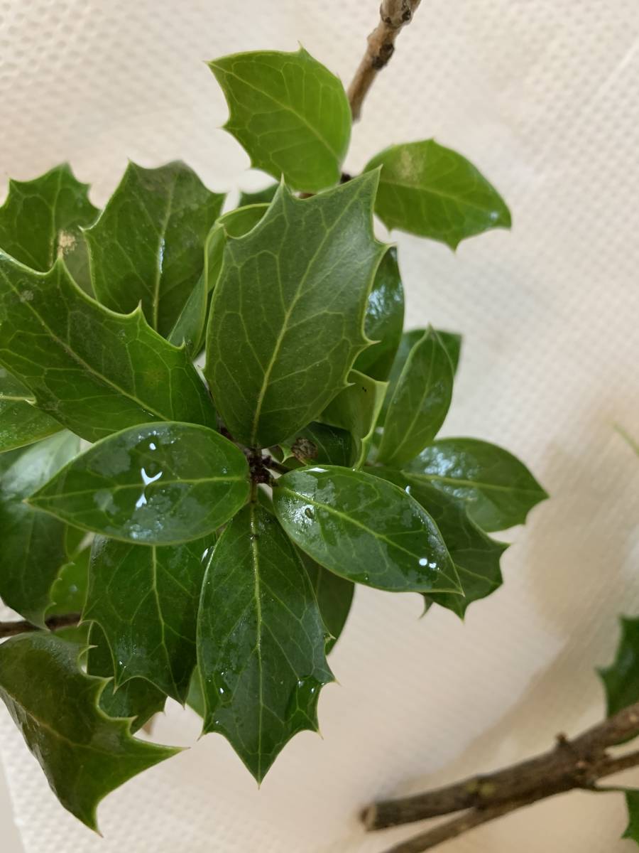 item_image_7