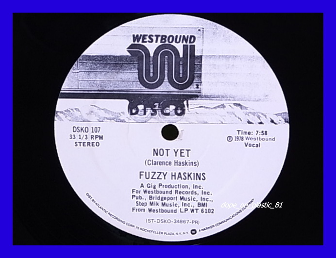 Fuzzy Haskins / Not Yet / I Think I Got My Thang Together/P-Funk/プロモ白ラベル/US Original/5点以上で送料無料!!!/12'_画像1