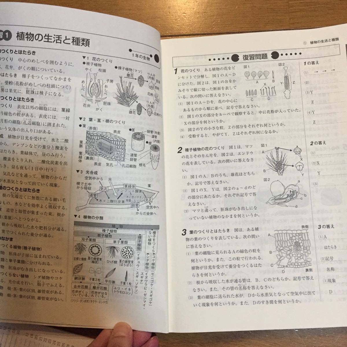 Paypayフリマ 中学2年 理科問題集 Paypayフリマ 中学2年 理科問題集