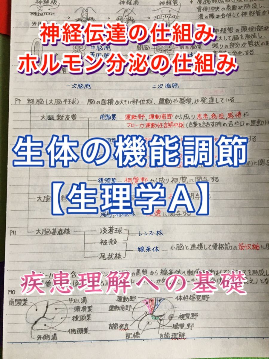 医療系学科定期、国家試験対策シリーズ【生体の機能調節（生理学）Ａ】まとめノート