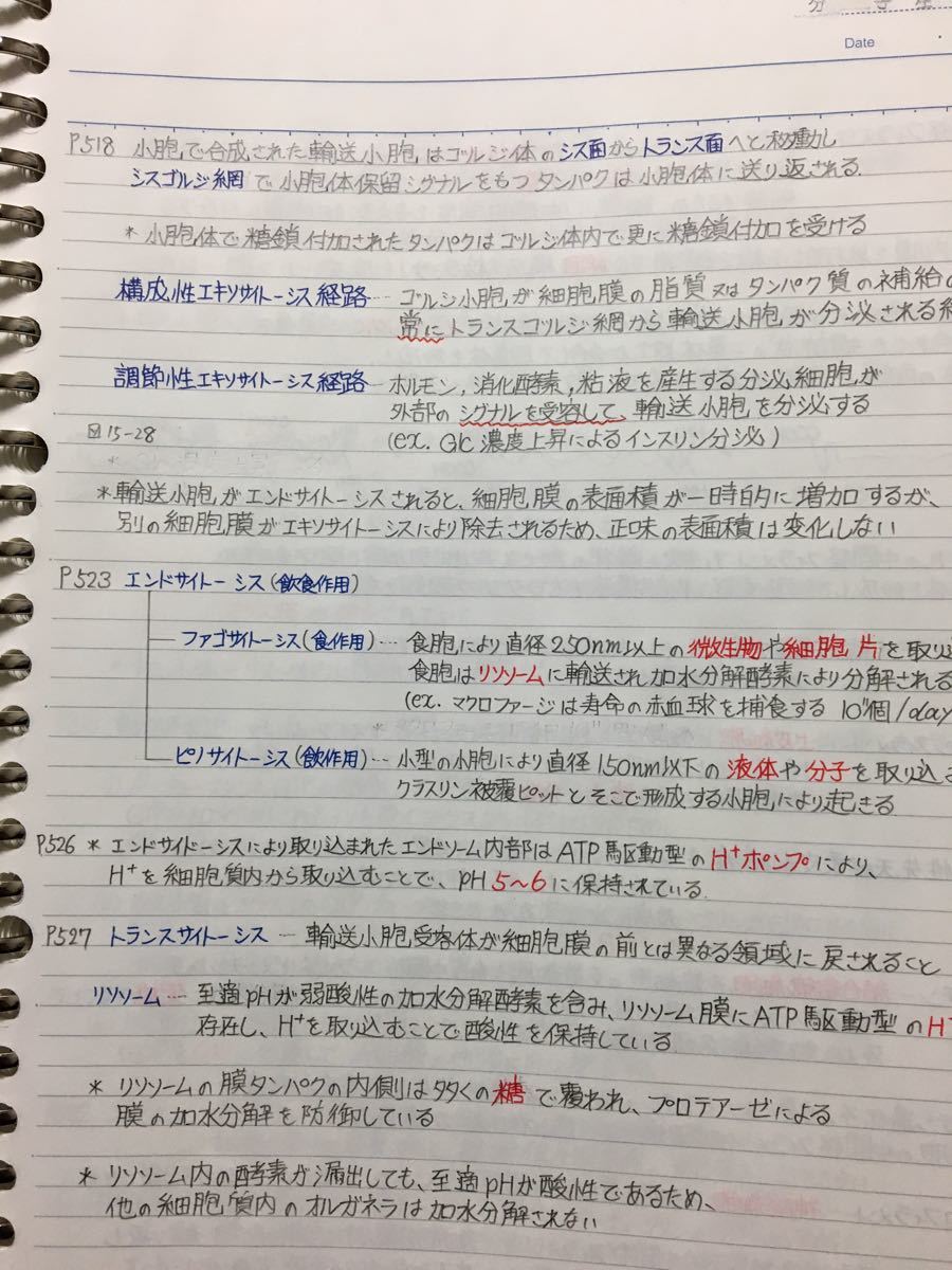 医療系学科定期試験、国家試験対策シリーズ【基礎生物】まとめノート