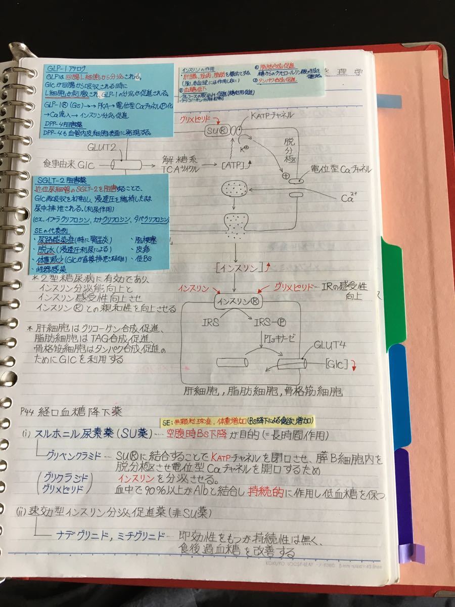 医療系学科定期試験、国家試験対策シリーズ【循環器疾患（循環器薬理）】まとめノート