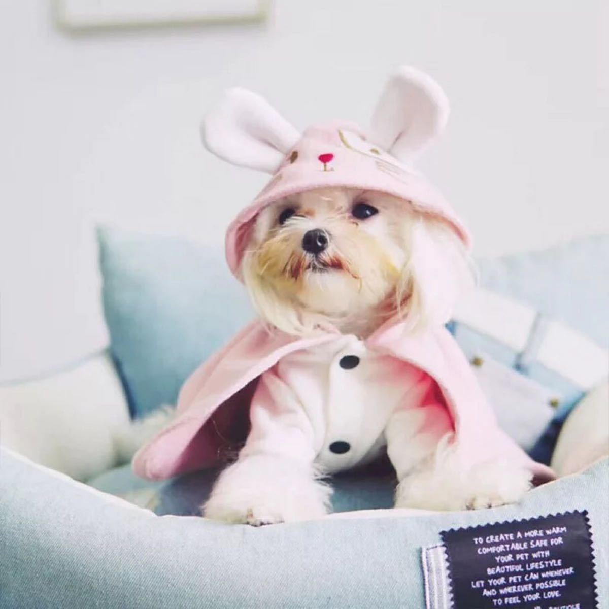 Paypayフリマ 激かわ かわいい ペット用 ポンチョ 洋服 犬 猫 うさぎ M Paypayフリマ 激かわ かわいい ペット用 ポンチョ 洋服 犬 猫 うさぎ M