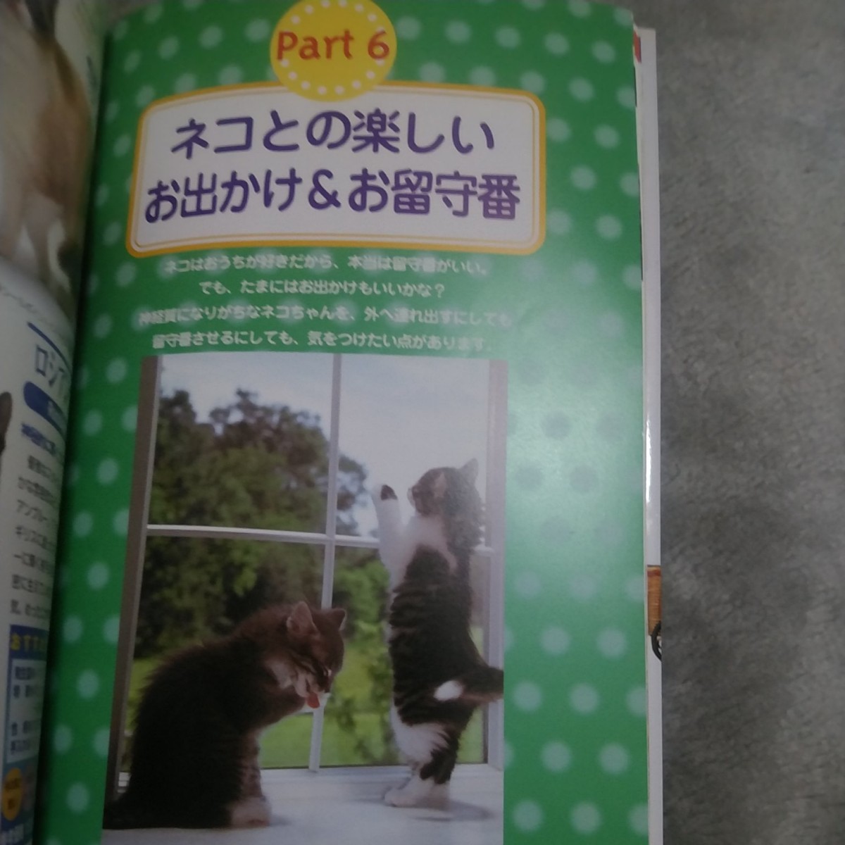 Paypayフリマ かわいい猫との暮らし方 しつけ方 Paypayフリマ かわいい猫との暮らし方 しつけ方