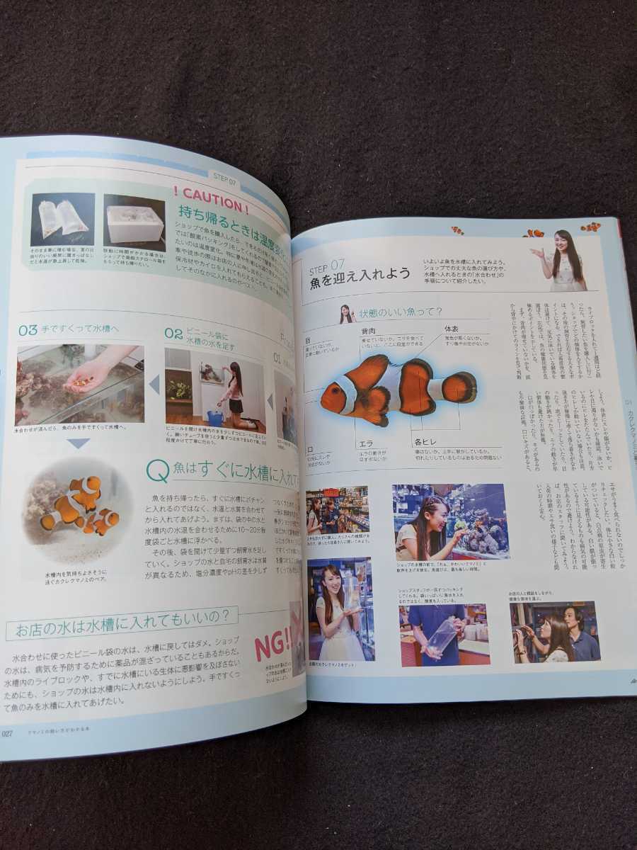 ヤフオク 初心者でも大丈夫 クマノミの飼い方がわかる本 ヤフオク 初心者でも大丈夫 クマノミの飼い方がわかる本