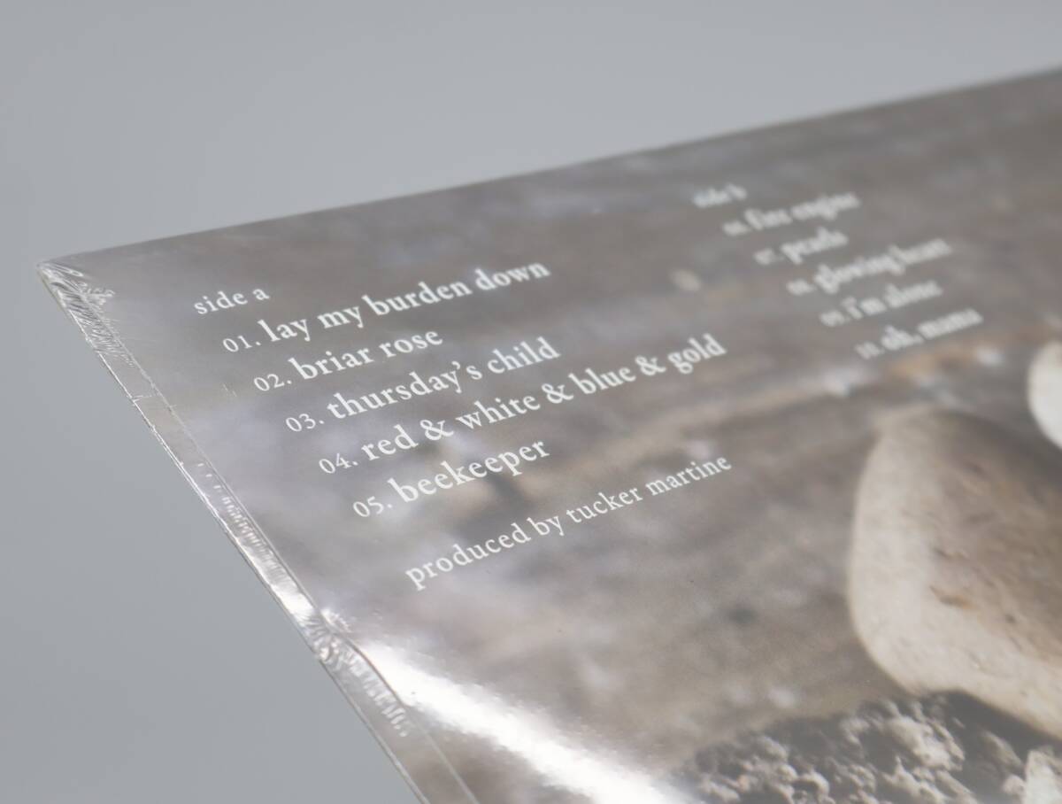 ★中2515 未開封 Aoife O'Donovan イーファ・オドノヴァン/Fossils レコード LP盤 アナログ盤 コレクター放出品 同梱可 32509081_画像10