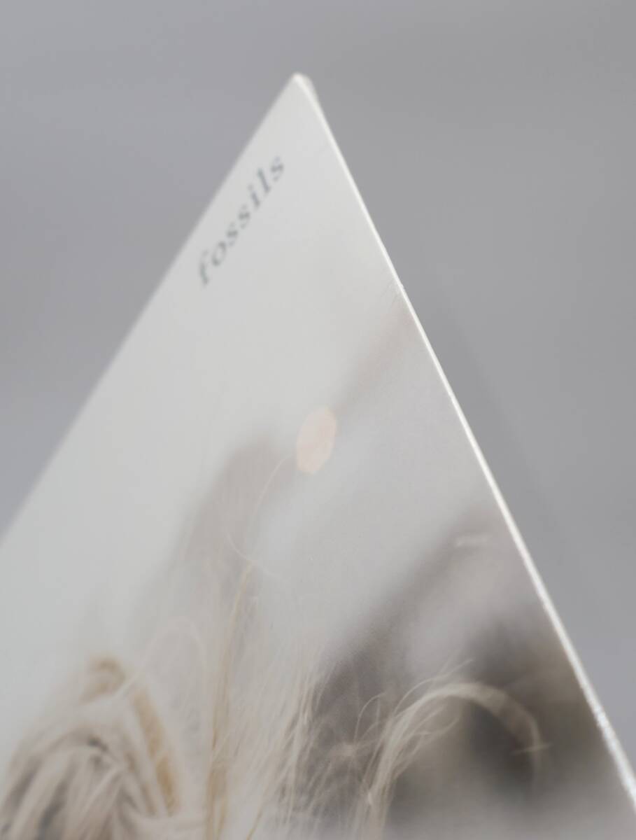 ★中2515 未開封 Aoife O'Donovan イーファ・オドノヴァン/Fossils レコード LP盤 アナログ盤 コレクター放出品 同梱可 32509081_画像5