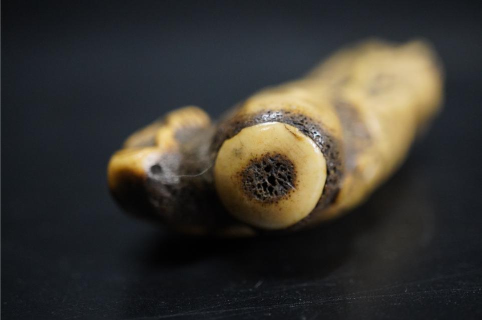 D5848-1 Edo времена netsuke олень угол ... кукла гравюра netsuke . предмет 