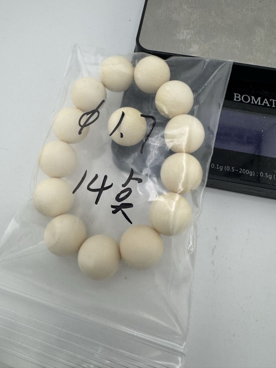 . зуб очень большой примерно 17.0.14 шар Power Stone разрозненный натуральный материалы для поиска : морж бегемот морской еж call 