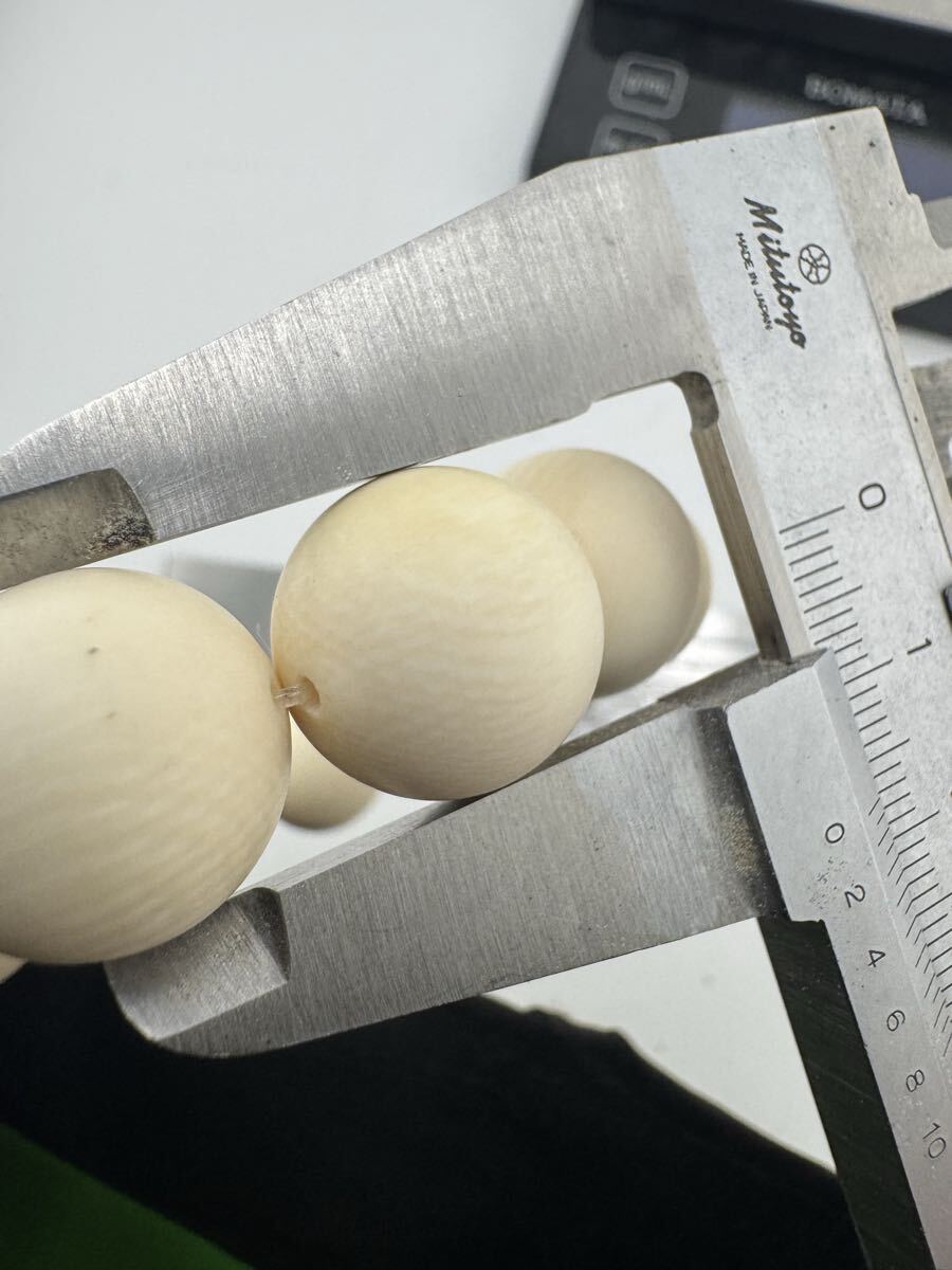 . зуб очень большой примерно 17.0.14 шар Power Stone разрозненный натуральный материалы для поиска : морж бегемот морской еж call 